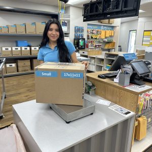 <strong>Small Box</strong> <br> 17" x 11" x 11"